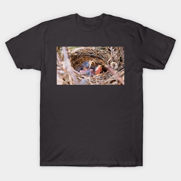 Two Baby Northern Cardinals In Their Nest. T-Shirt by BackyardBirder